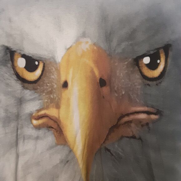 Bald Eagle 2011 Vincent Hie T-Shirt Tie Dye Men’s Medium Blue Short Sleeve AOP - Picture 2 of 7